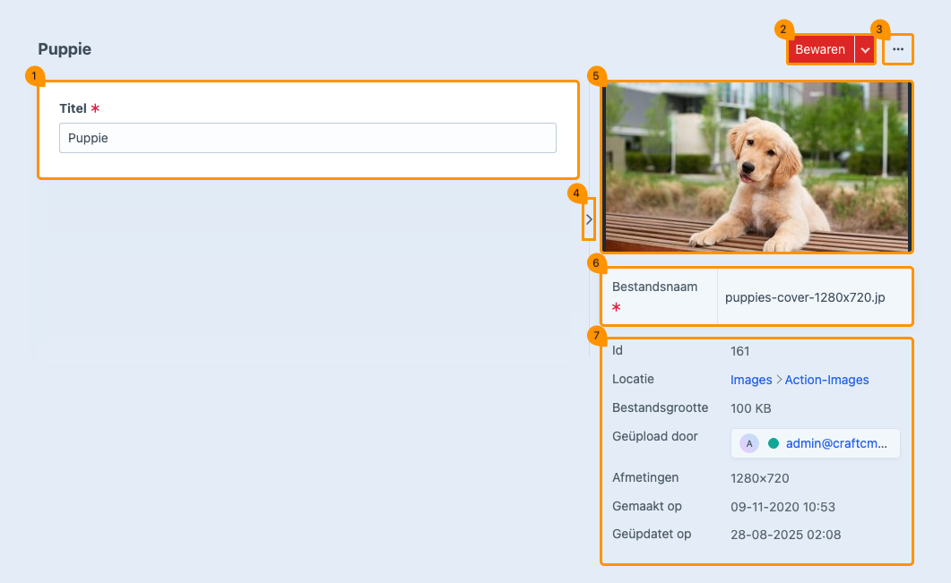 detailpagina_assets.