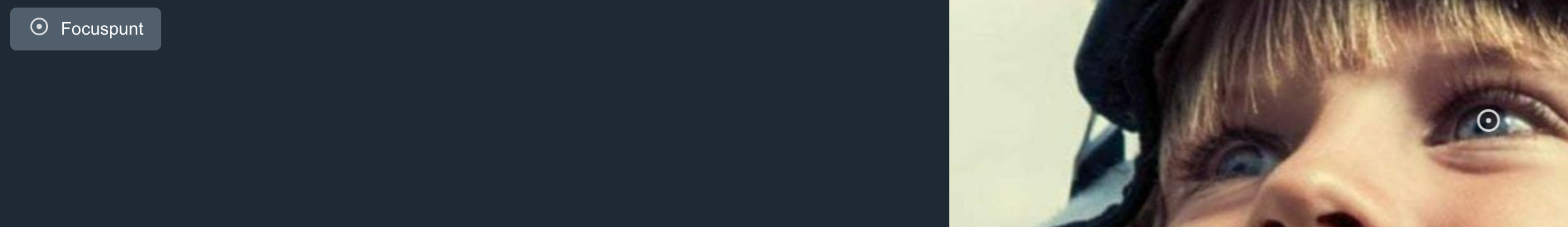 focuspunt.